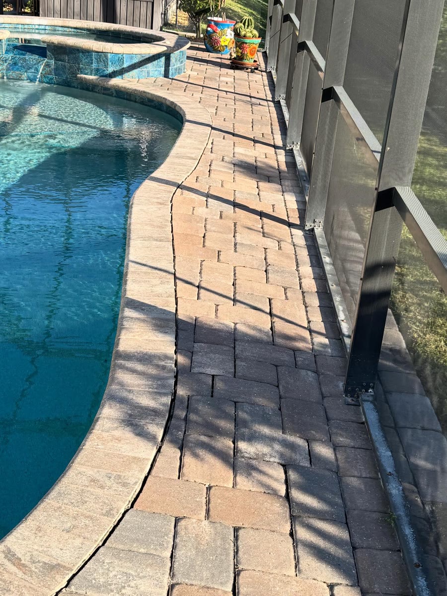 Pavers laid right to the edge of a curved pool, along the screen wall.